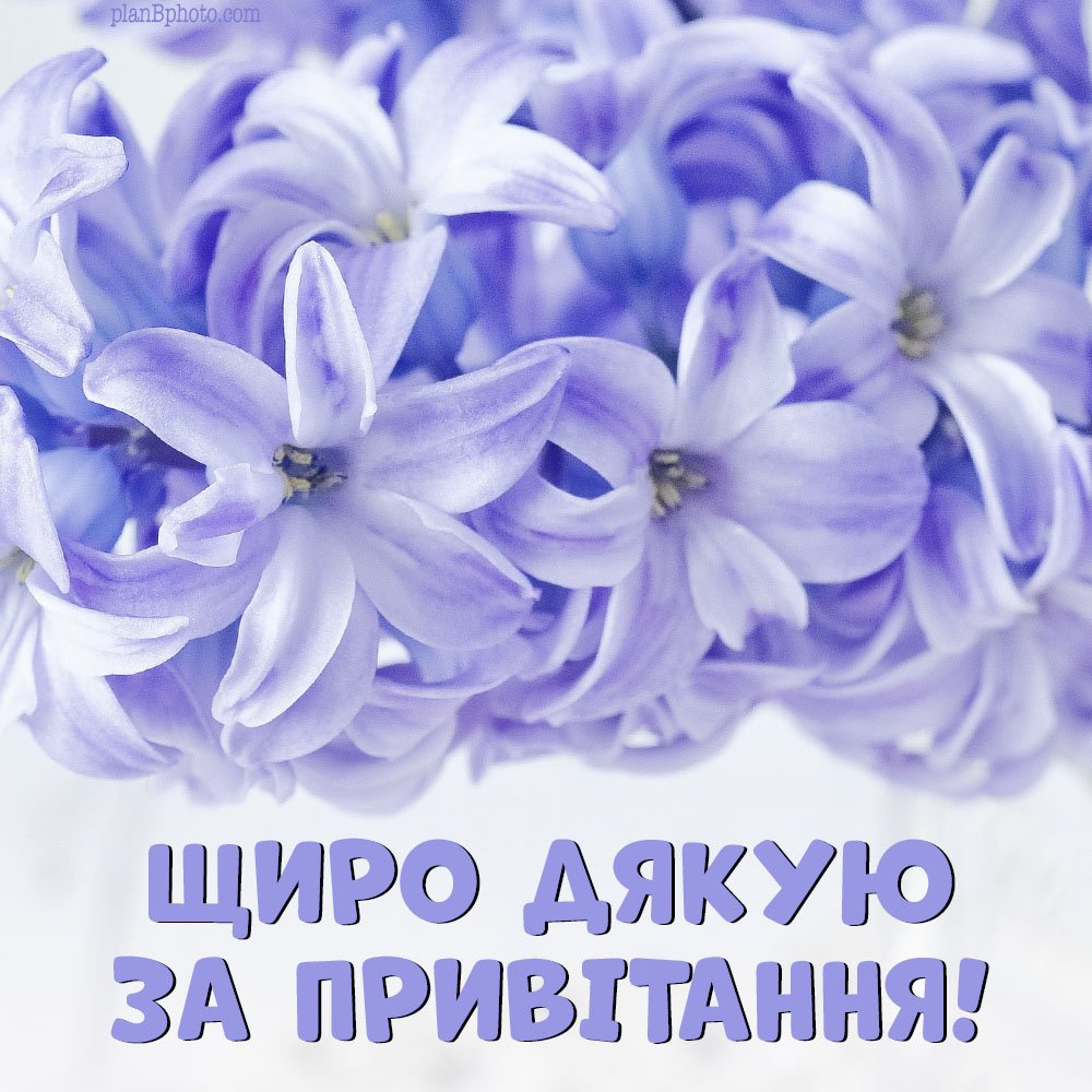 дякую за привітання картинки